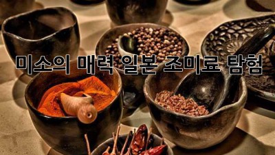 ✨미소의 매력✨ 일본 조미료 탐험 😉