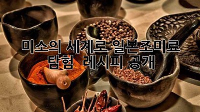 ✨미소의 세계로! 일본조미료 탐험 & 레시피 공개!🍜